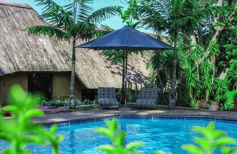 Amazulu Lodge photo 1