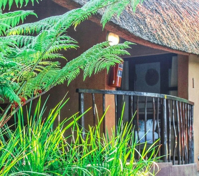 Amazulu Lodge 5