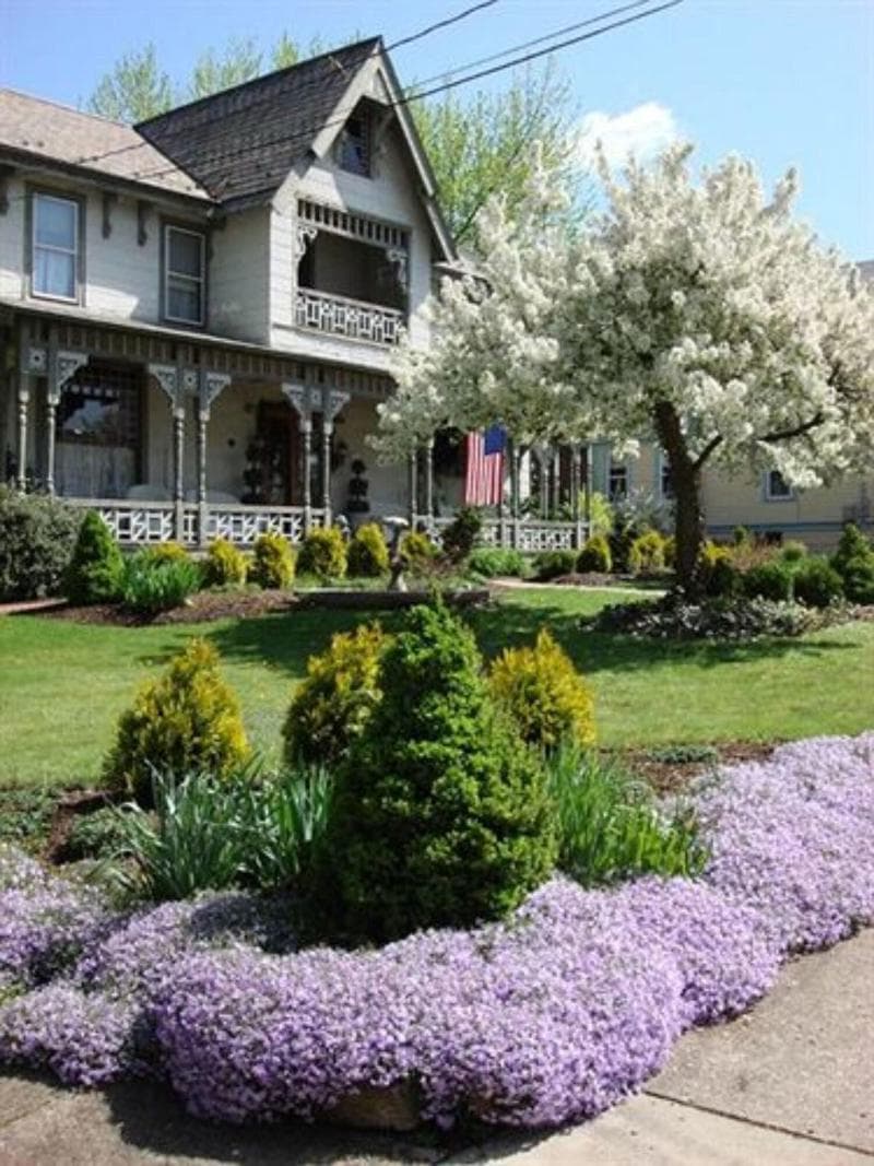 Rocking Horse Inn 4
