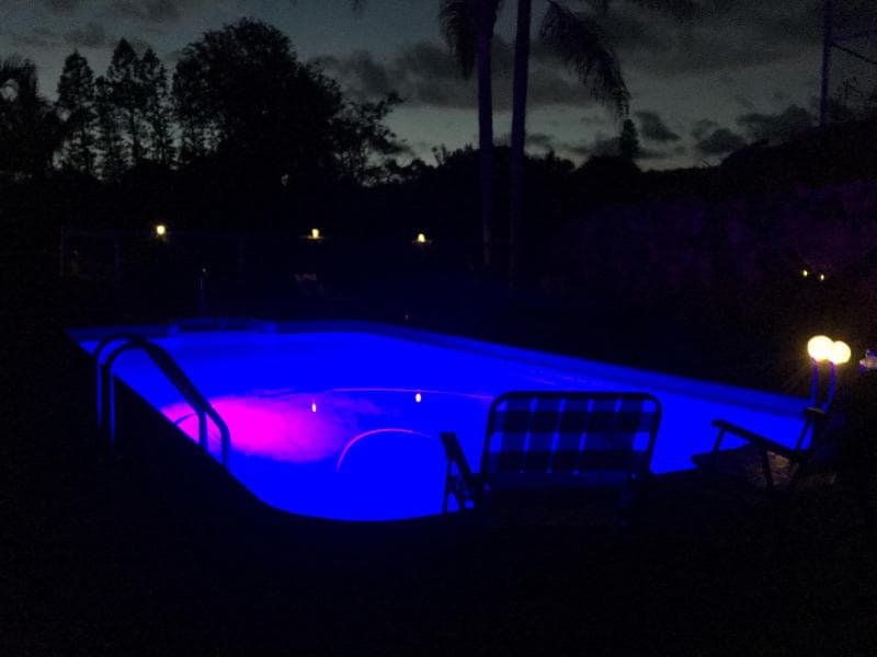 Macadamia Meadows Farm Bed & Breakfast 5