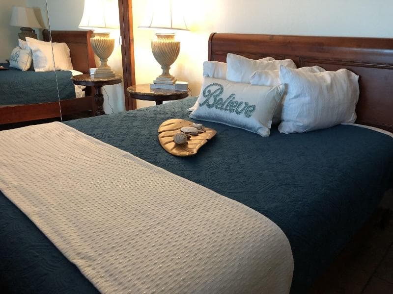 Macadamia Meadows Farm Bed & Breakfast 3