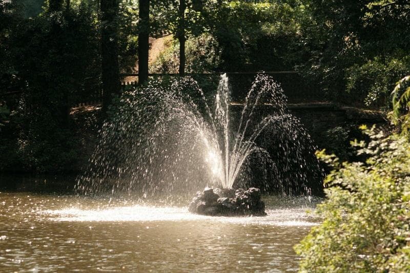 Hotel Am Schwanenweiher 3