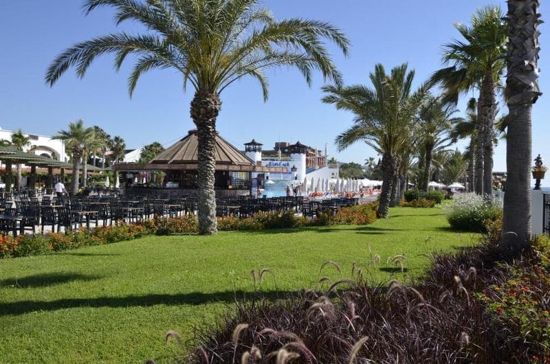 Emelda Sun Club 4