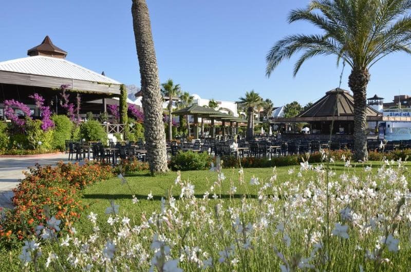 Emelda Sun Club 5