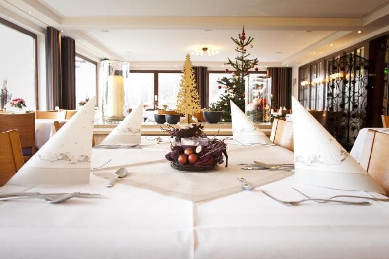 Wald Hotel Willingen 3