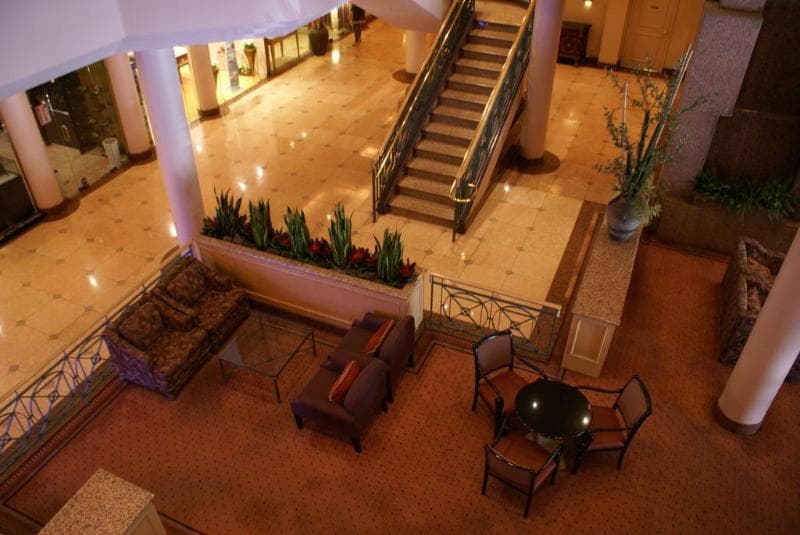 Oxford Palace Hotel And Galleria 5