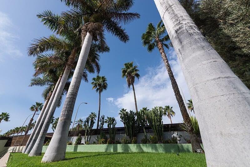 Eo Maspalomas Resort 5