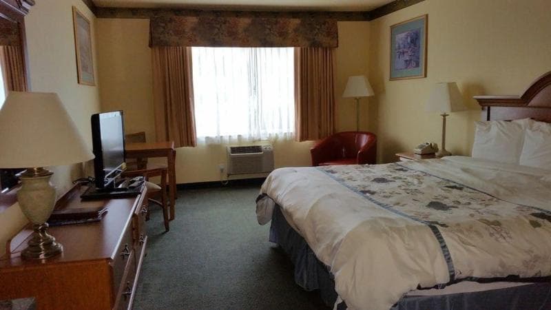 Palace Inn & Suites 4