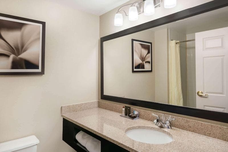 Wingate by Wyndham Lexington 3