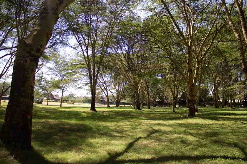 Lake Naivasha Resort 2