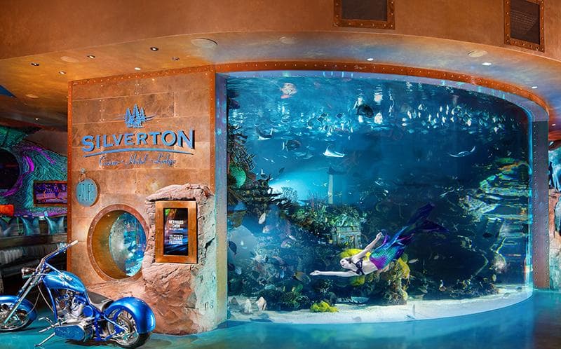 Silverton Casino Hotel 3