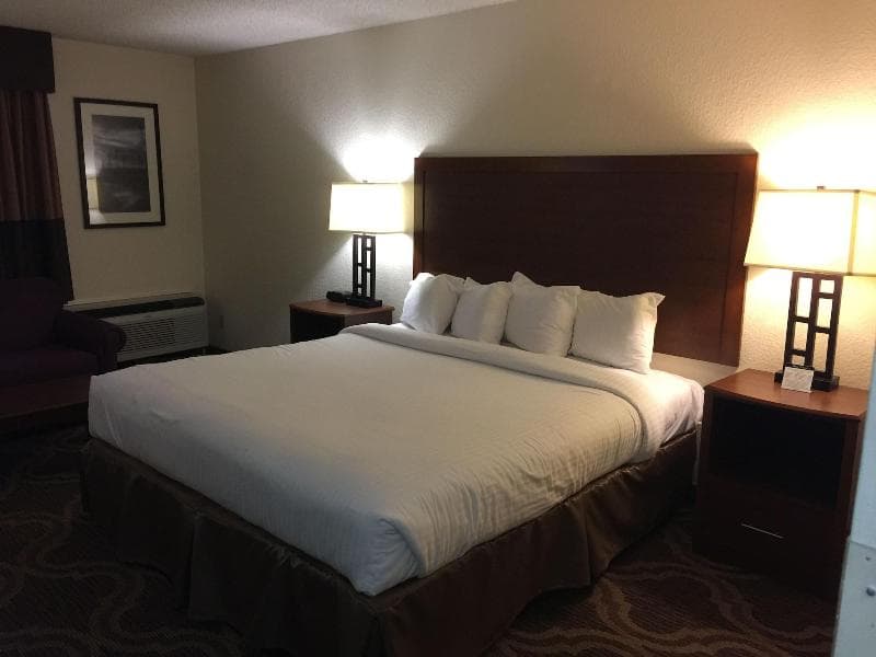 Holiday Inn Lubbock South 3