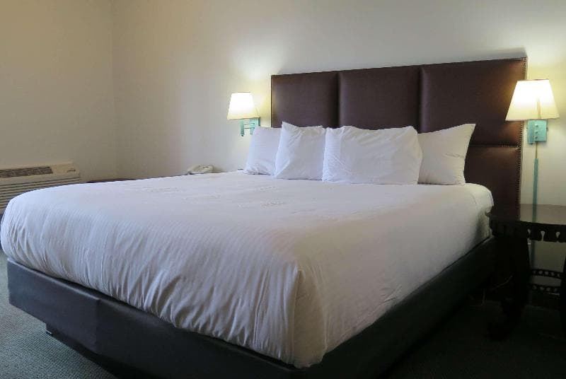 The Art Hotel 3