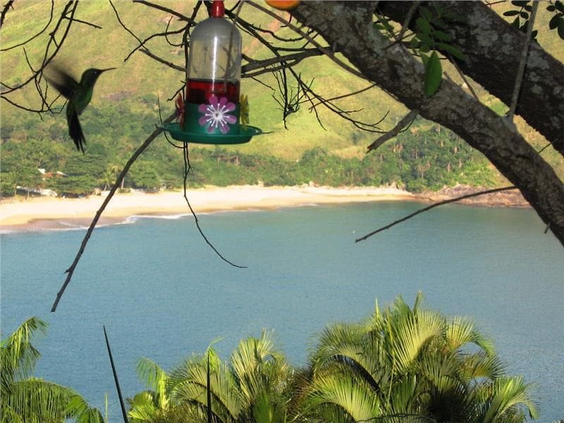 Ilha De Toque Toque Boutique Hotel And Spa 4