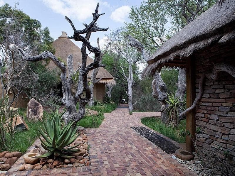 Jabulani photo 1