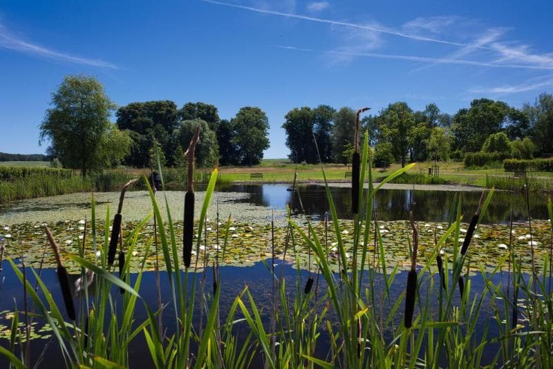 Schlossgut Gross Schwansee photo 1