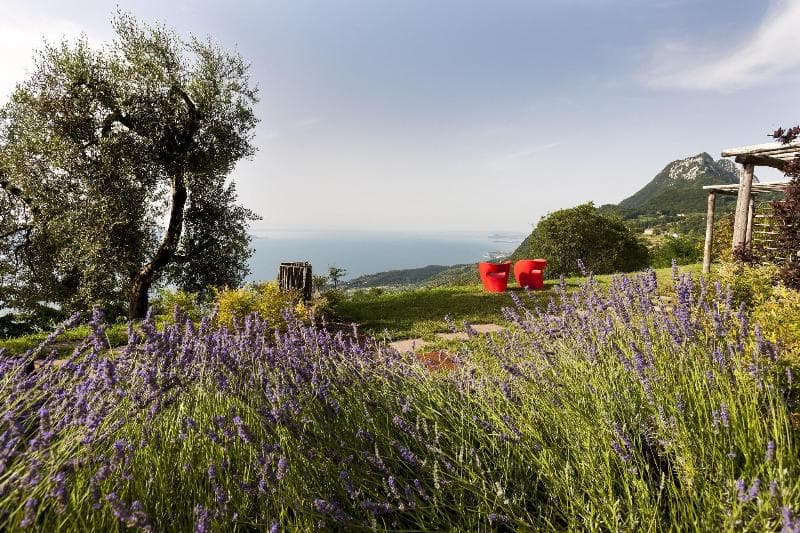 Lefay Resort & Spa Lago Di Garda (Adults Only) 3