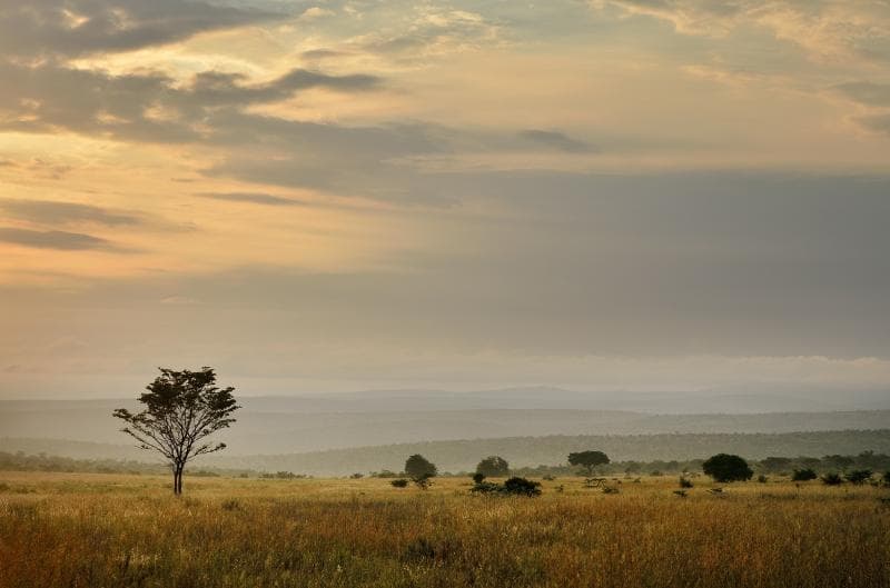 Makweti Safari Lodge main