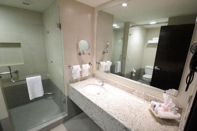 Crowne Plaza Leon photo 1