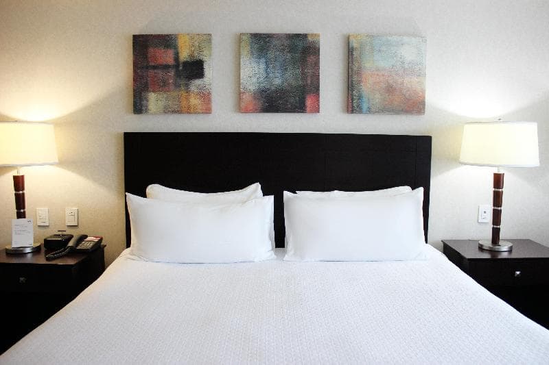 Crowne Plaza Leon 3