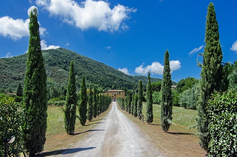 Villa Cheli 3