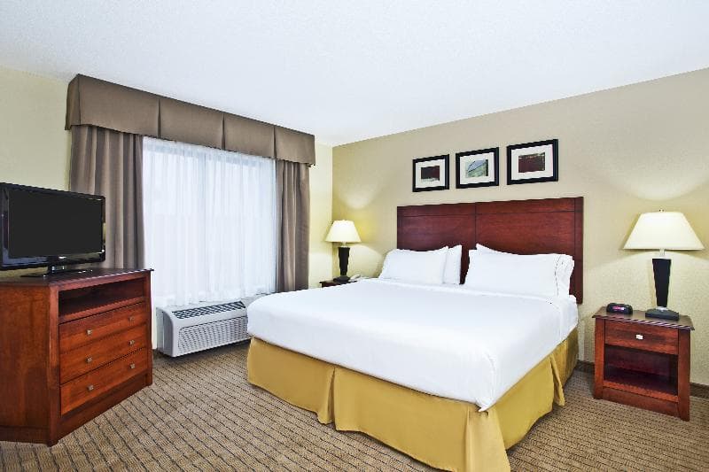 Holiday Inn Express Hotel & Suites East Lansing photo 1