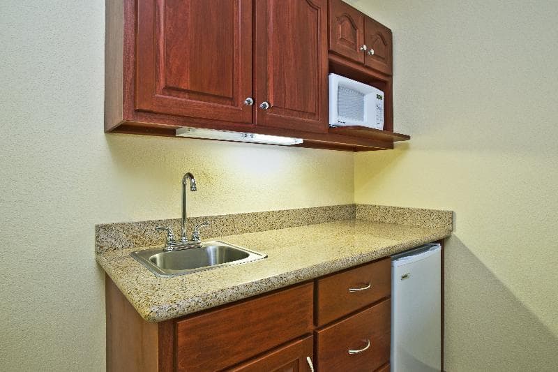 Holiday Inn Express Hotel & Suites East Lansing 4