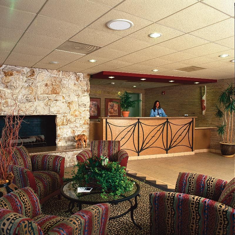 Safari Inn 5