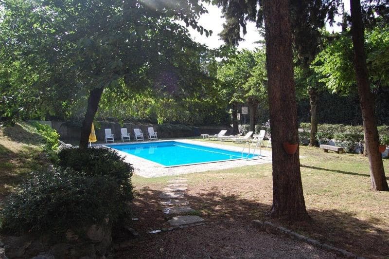 Stella Alpina photo 1