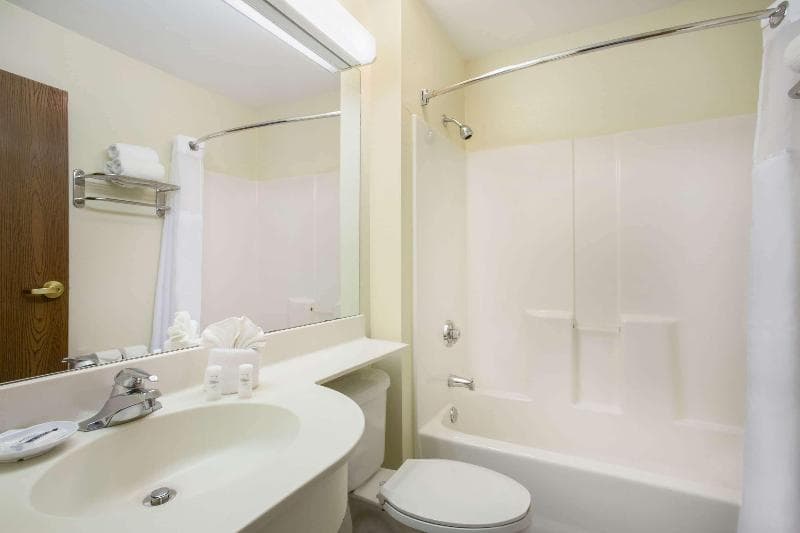 Microtel Inn & Suites By Wyndham Leesburg/Mount Dora 5