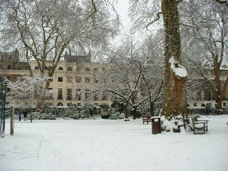 The Goodenough On Mecklenburgh Square 3