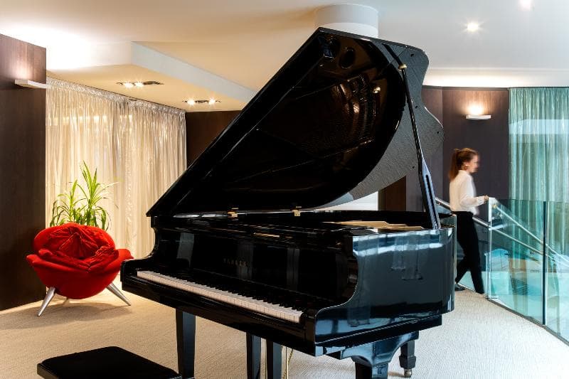 Le Rex Tarbes 5