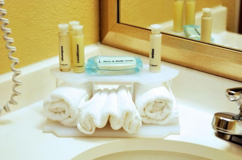 Holiday Inn Express Lapeer 5