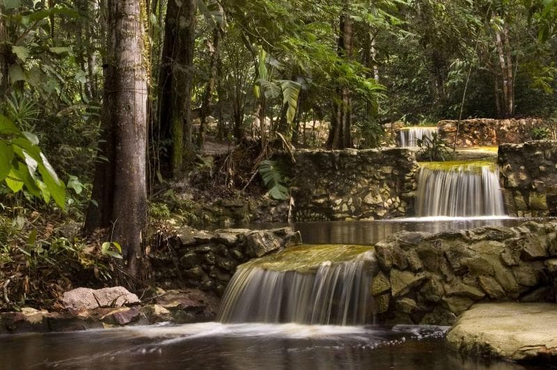 Amazon Ecopark Jungle Lodge 4