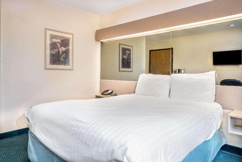 Microtel Inn & Suites by Wyndham Tomah 5