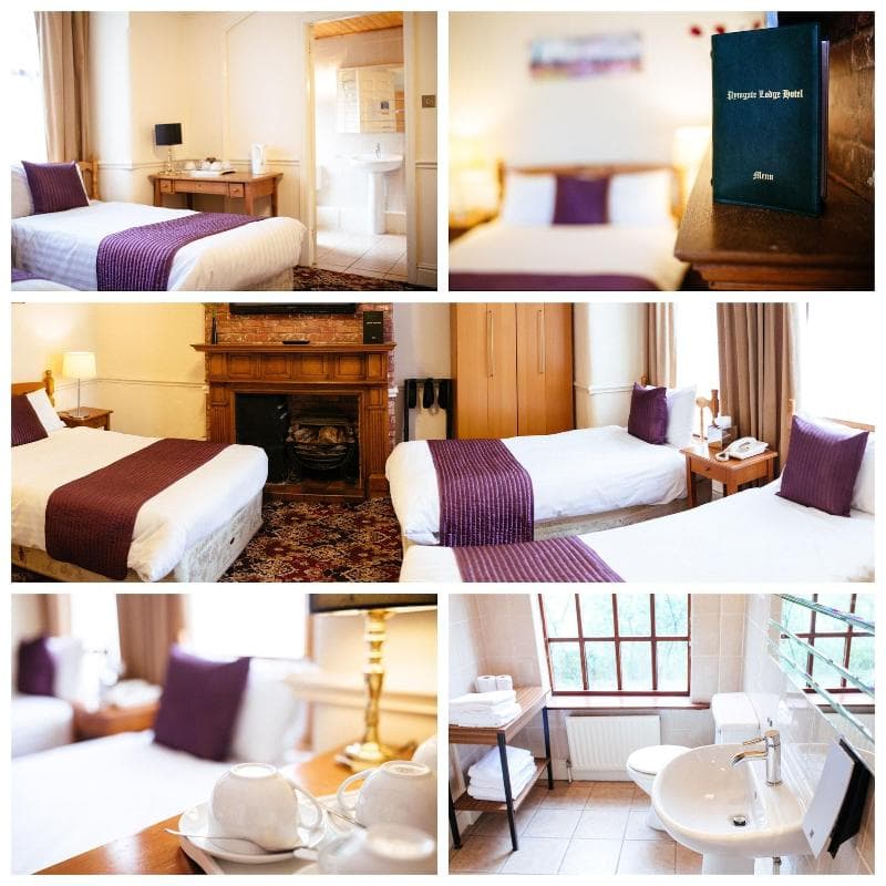 Pymgate Lodge Hotel 3