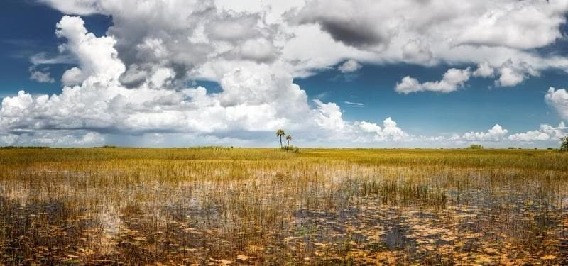 Miccosukee Casino Resort 3
