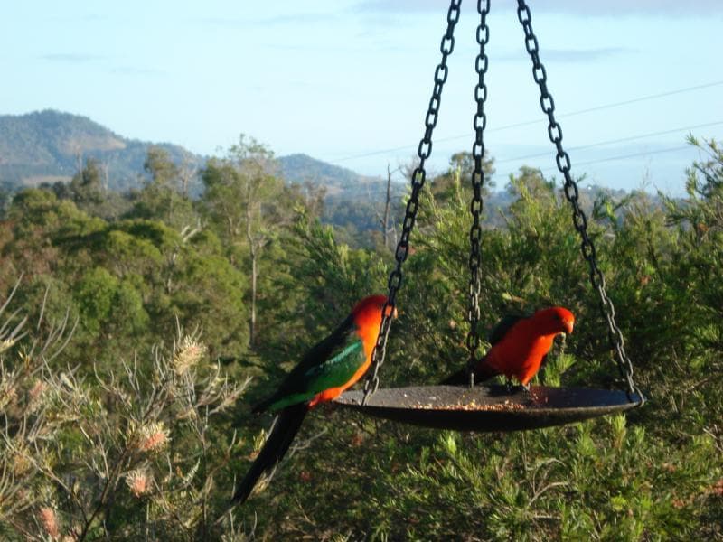 Amamoor Lodge (Adults Only) 4