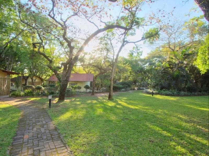 Kruger Adventure Lodge photo 1