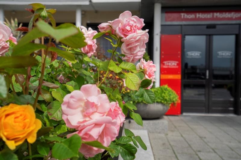 Thon Hotel Moldefjord photo 1