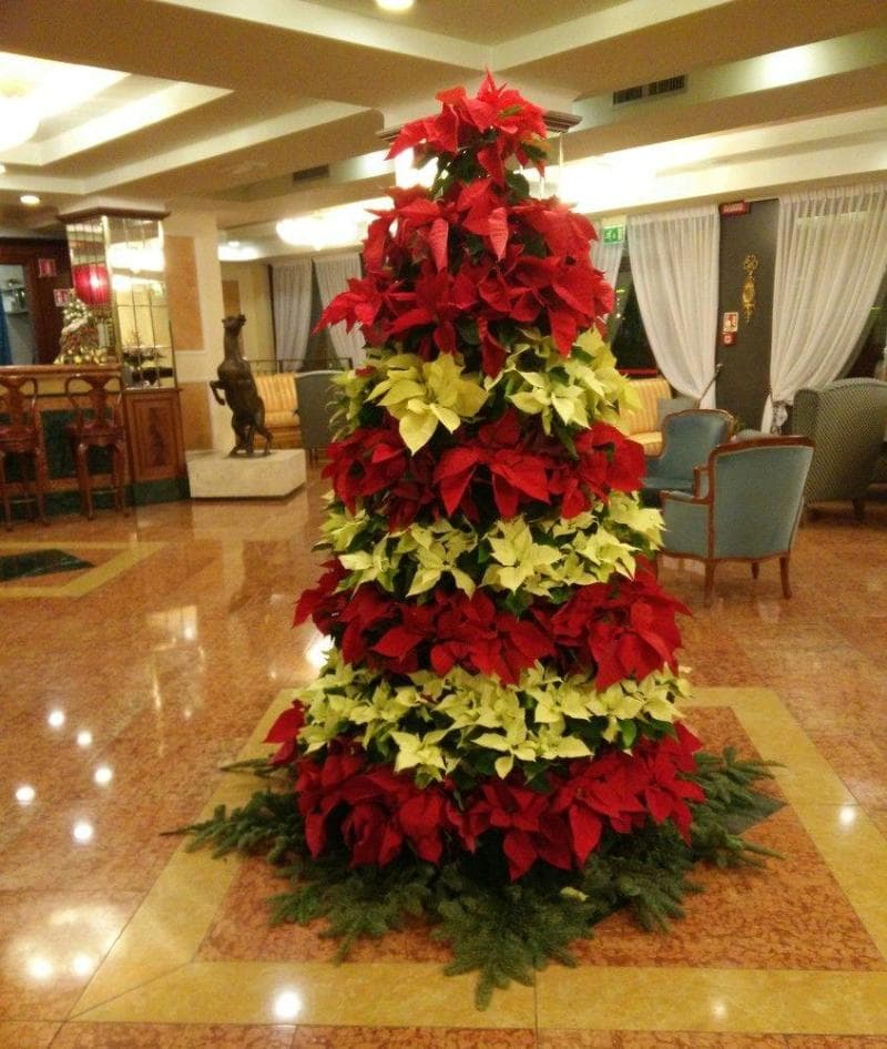 Santa Barbara Hotel Milan photo 1
