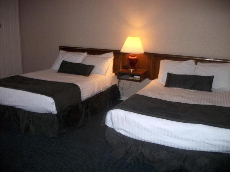 The Park View Inn 4