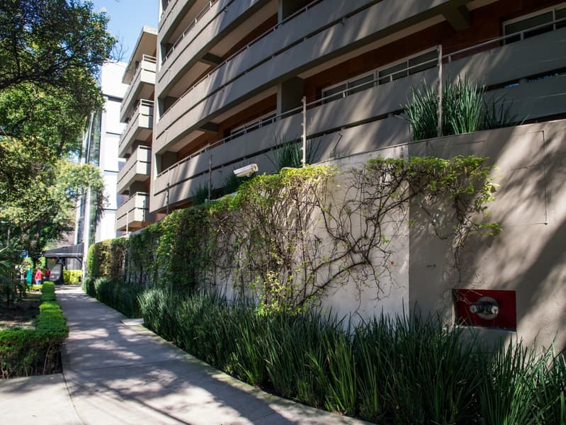 Dominion Polanco 3