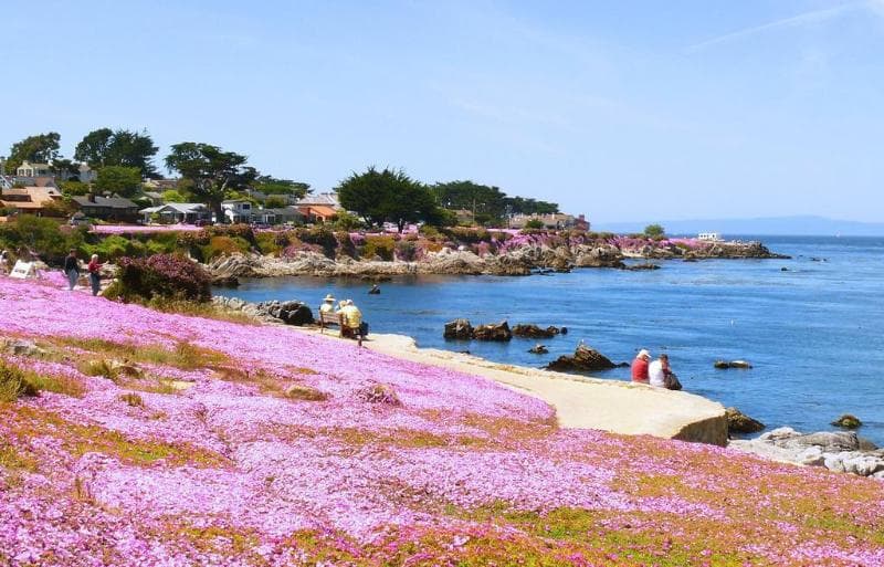Sea Breeze Inn & Logde photo 1