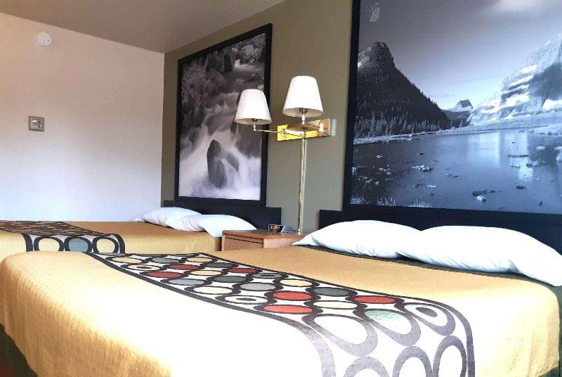 Super 8 By Wyndham Hamilton 3