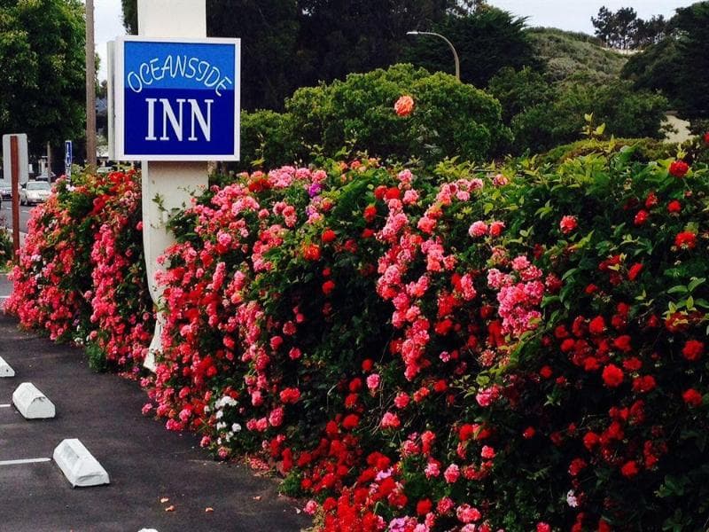 Monterey Oceanside Inn 3