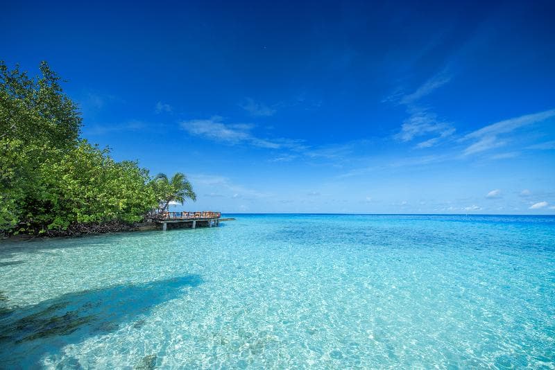 Makunudu Island (Adults Only) 5