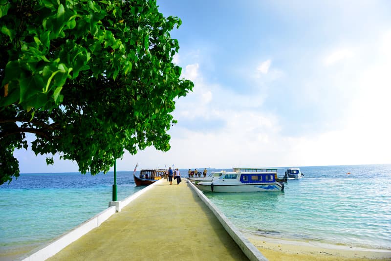 Biyadhoo Island Resort photo 1