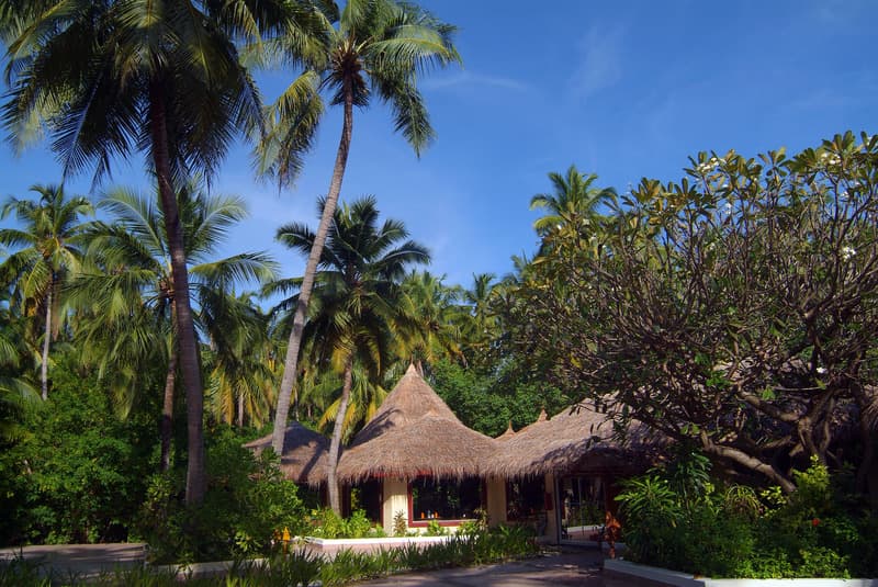 Biyadhoo Island Resort 2
