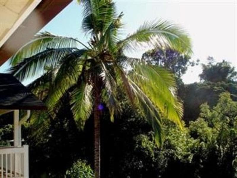 Bamboo Valley Inn 3